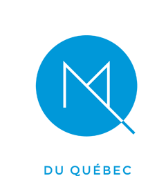 Les Guides &eacute;lectroniques de la SMQ